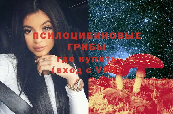 герыч Новозыбков