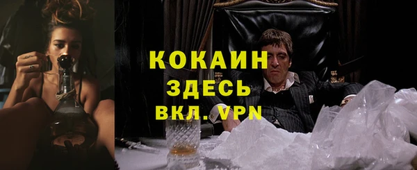 амф Нея