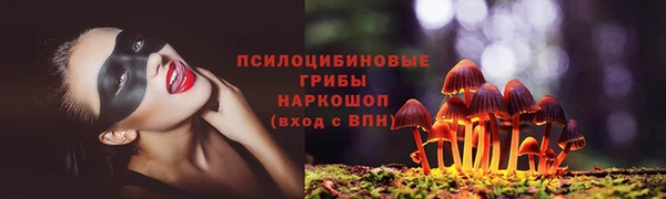герыч Новозыбков