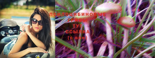 стафф Нефтегорск