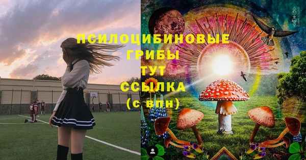 мескалин Новодвинск