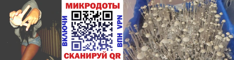 МЕГА как зайти  Беломорск  Псилоцибиновые грибы мухоморы 