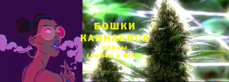 shop как зайти  Беломорск  Бошки Шишки OG Kush 